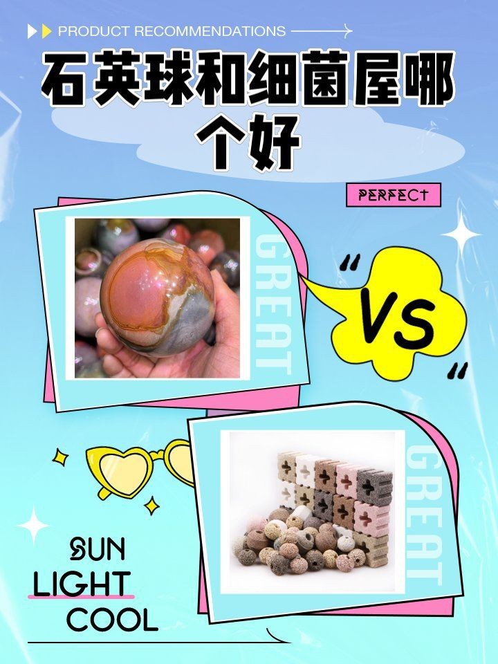 紅磚可以代替細菌屋嗎