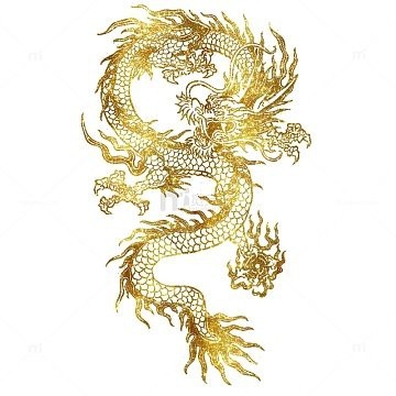 有沒有推薦的龍圖片資源網站？