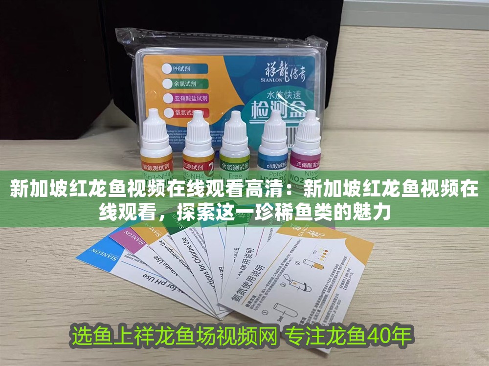 新加坡紅龍魚視頻在線觀看高清：新加坡紅龍魚視頻在線觀看，探索這一珍稀魚類的魅力 新加坡紅龍魚視頻在線觀看高清：新加坡紅龍魚視頻在線觀看，探索這一珍稀魚類的魅力 龍魚百科 第1張