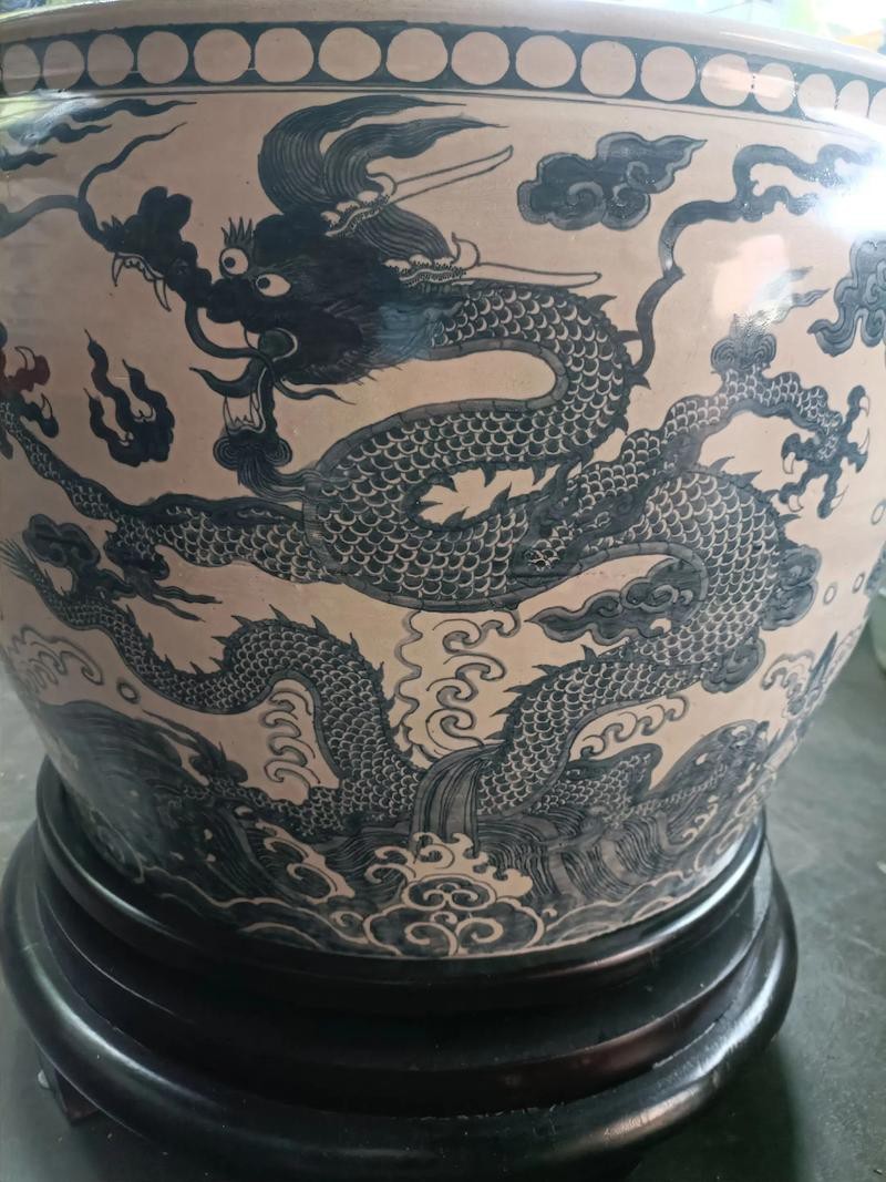 最好養(yǎng)的雷龍魚有哪些，最好養(yǎng)的雷龍魚是啥