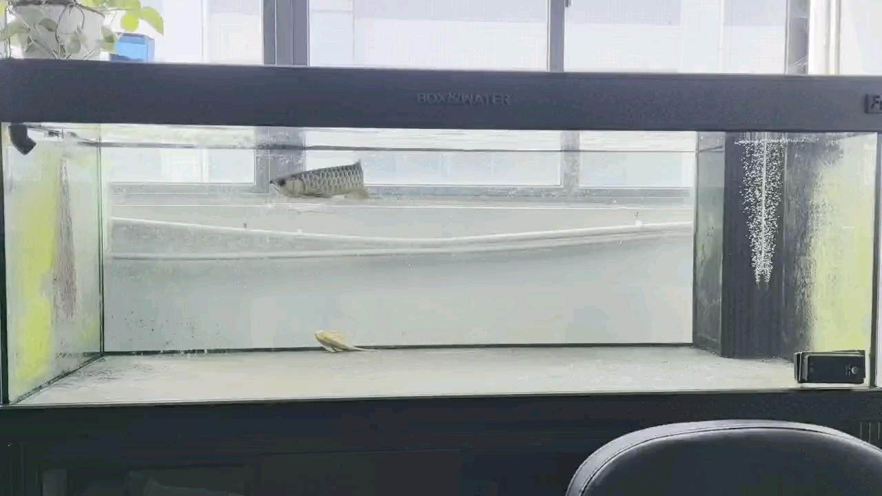 十分飽