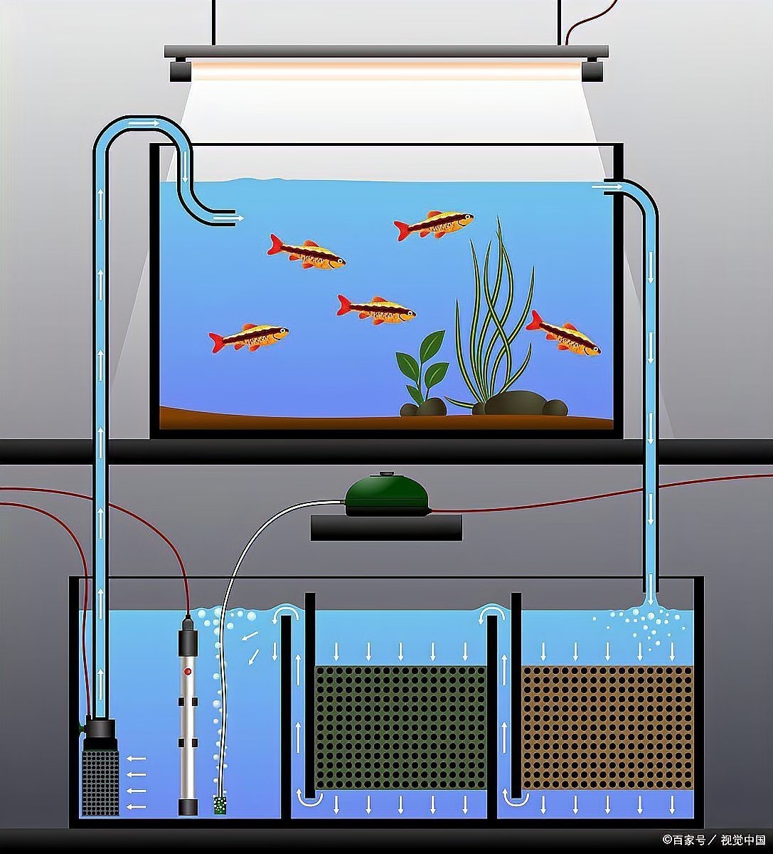 森森下濾魚缸安裝教程