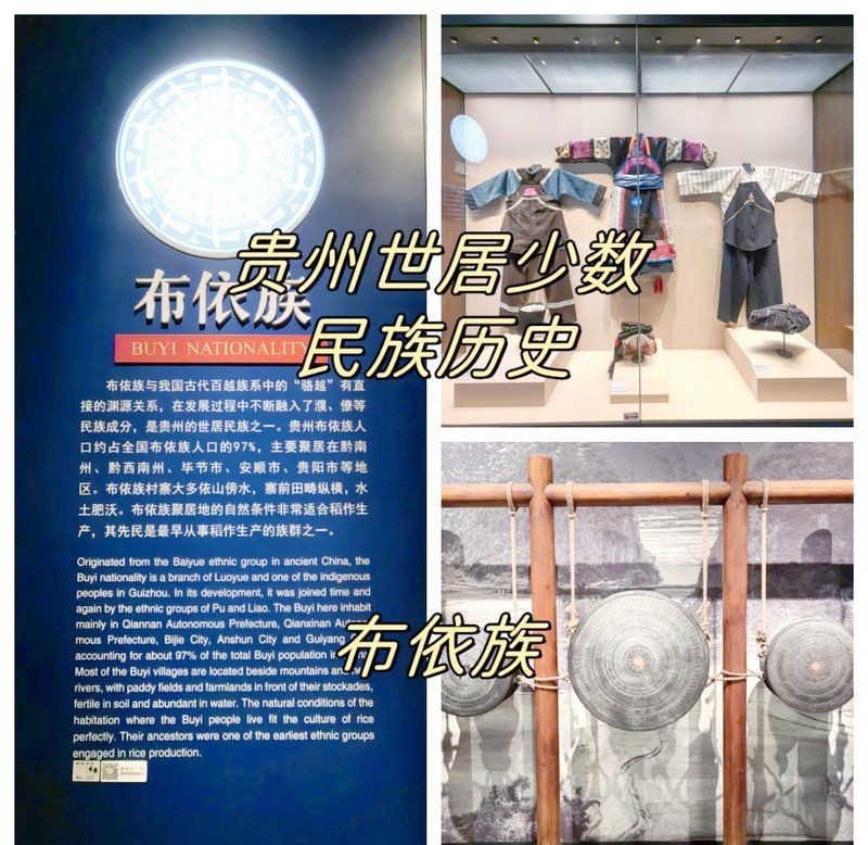 貴州有哪些民族