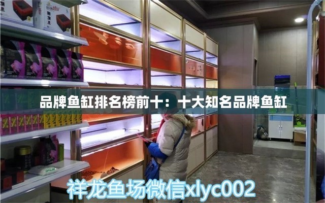 永清縣城內愛博水族館（永清縣城內愛博水族館地址）