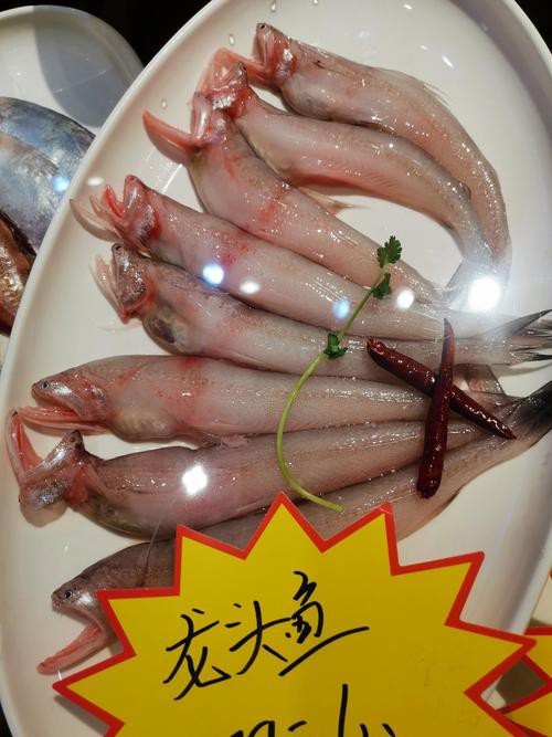 給我一些龍頭魚的圖片