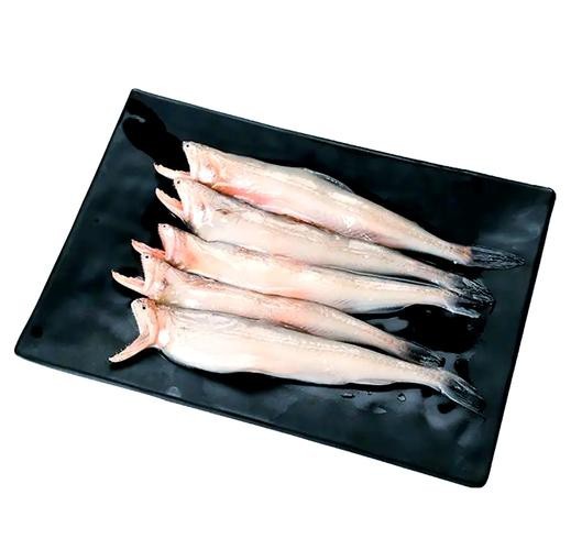 給我一些龍頭魚的圖片