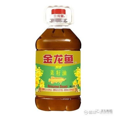 金龍魚2700億市值（金龍魚上市首日暴漲120%幕后老板財富增超2700億）
