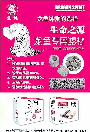 皇冠魟魚最稀有三個品種