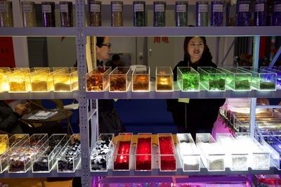 一條龍魚一個月開銷（養(yǎng)龍魚一個月的費用大概是多少？）