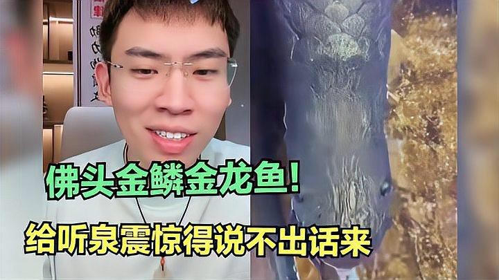 金龍魚視頻中哪個最震撼？
