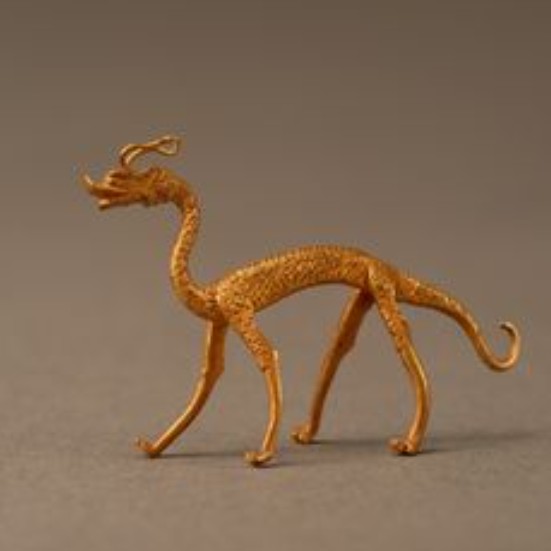 古典金龍長大后的樣子