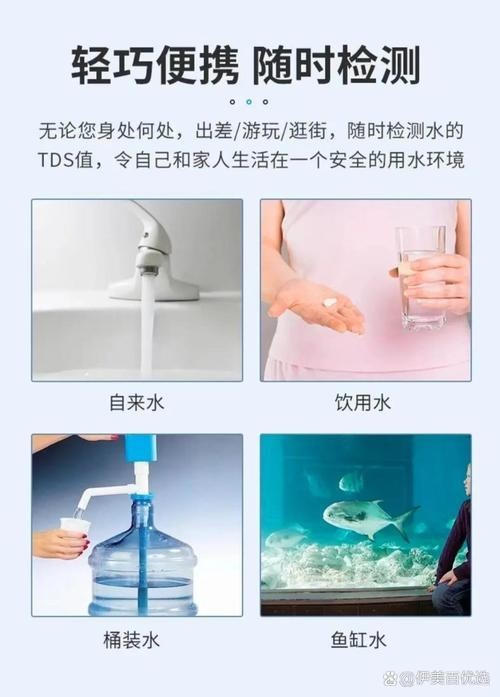 銀龍魚的養殖方法和注意事項視頻教學大全圖片