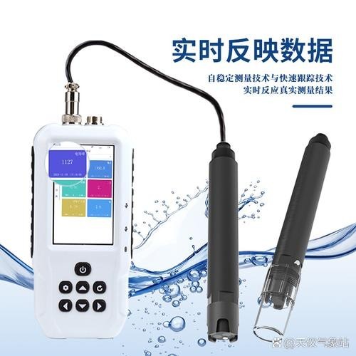 銀龍魚的養殖方法和注意事項視頻教學大全圖片