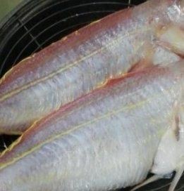 紅斑魚多少錢一斤