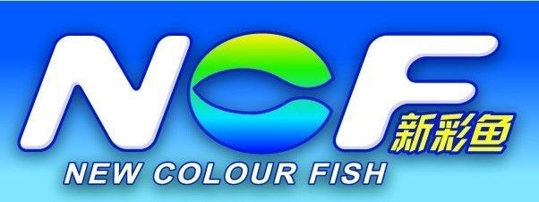 廣德縣桃州鎮俊巍魚缸經營部魚缸水族箱批發店：全國水族用品批發市場大盤點