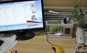 廣德縣桃州鎮俊巍魚缸經營部魚缸水族箱批發店：全國水族用品批發市場大盤點
