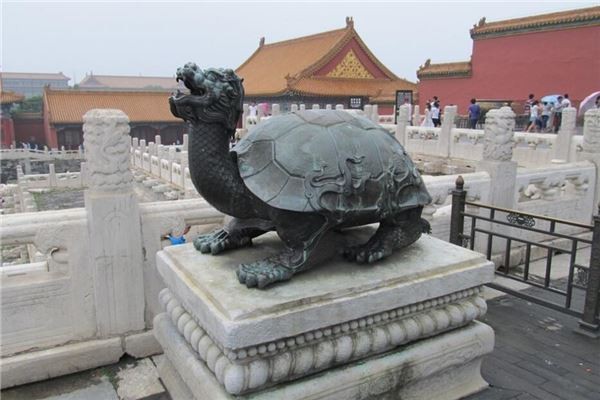 龍龜不能亂請的原因