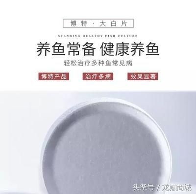 大白片的用法和用量龍魚：大白片用法和用量