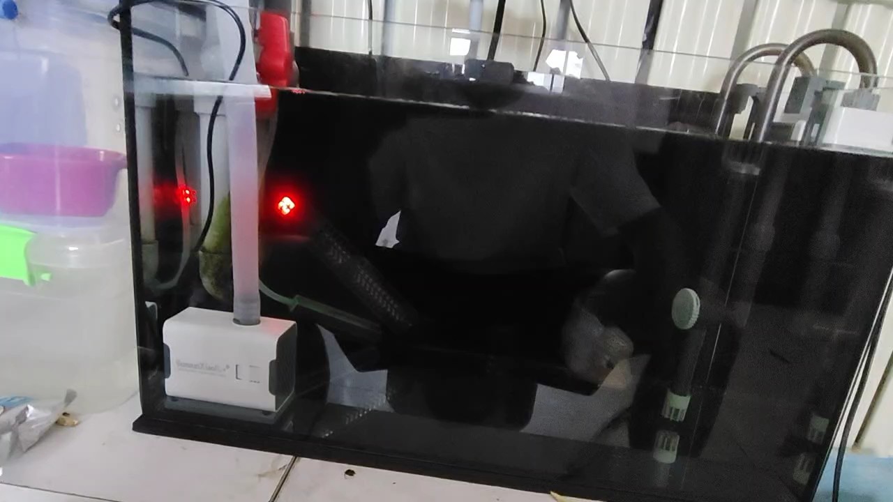 給它換個大房子