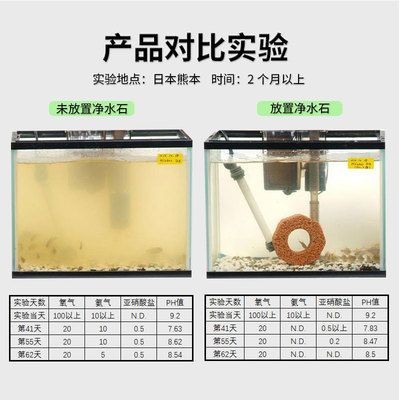 魚缸濾盒都放什么：關于魚缸濾盒的擺放