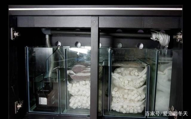 魚缸濾盒都放什么：關于魚缸濾盒的擺放
