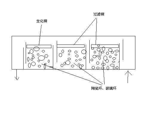 魚缸濾盒都放什么：關于魚缸濾盒的擺放
