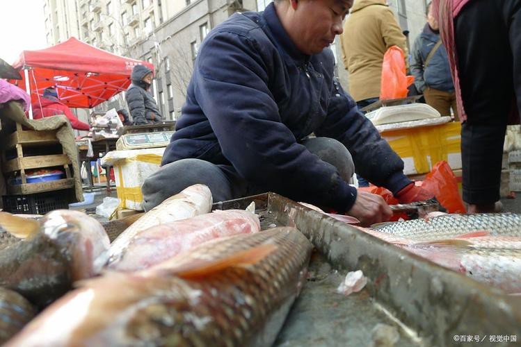 天津龍魚價格最新行情走勢圖片