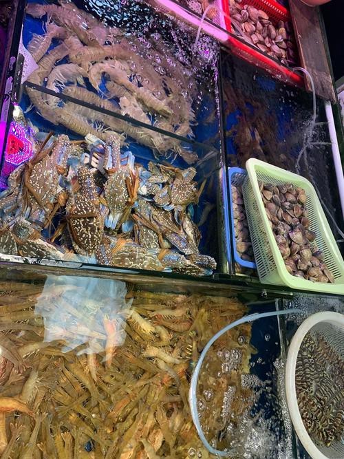 天津龍魚價格最新行情走勢圖片