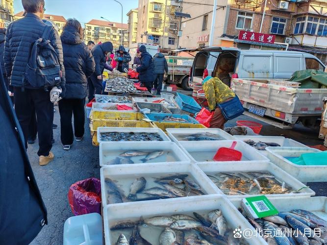 天津龍魚價格最新行情走勢圖片