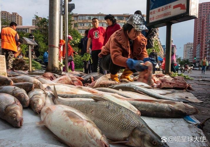 天津龍魚價格最新行情走勢圖片