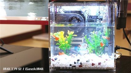 魚缸電源位置怎么留：如何為魚缸選擇合適的電源位置