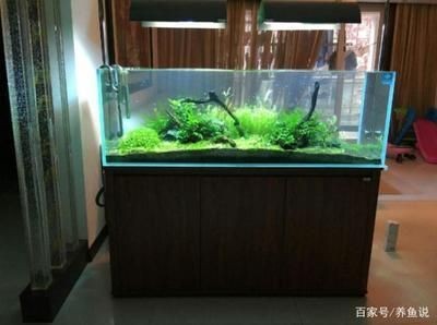 魚缸電源位置怎么留：如何為魚缸選擇合適的電源位置