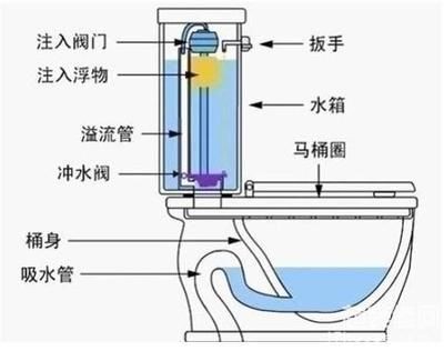 虹吸原理是一種利用液面高度差的作用力現(xiàn)象的運作機制：虹吸原理在建筑設(shè)計中的應(yīng)用