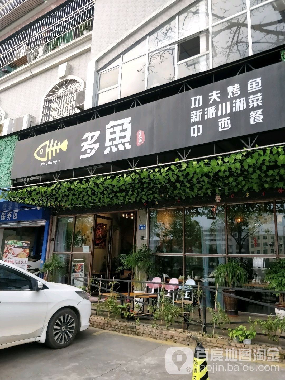 惠州賣六角龍魚的地方在哪里啊
