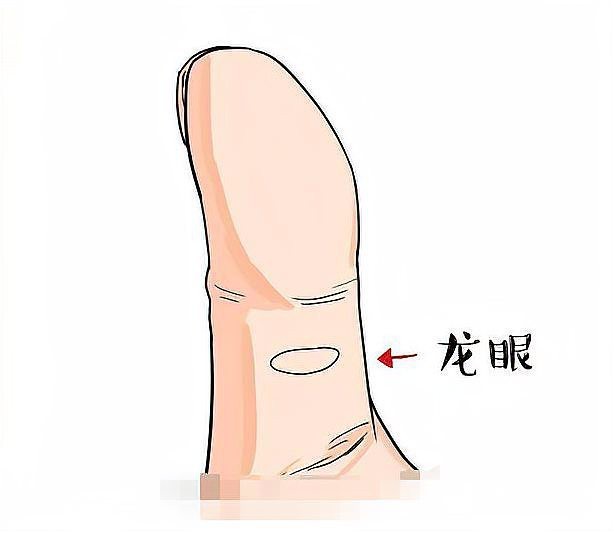龍眼紋一般人壓不住嗎 龍眼紋一般人壓不住嗎 龍魚論壇 第7張