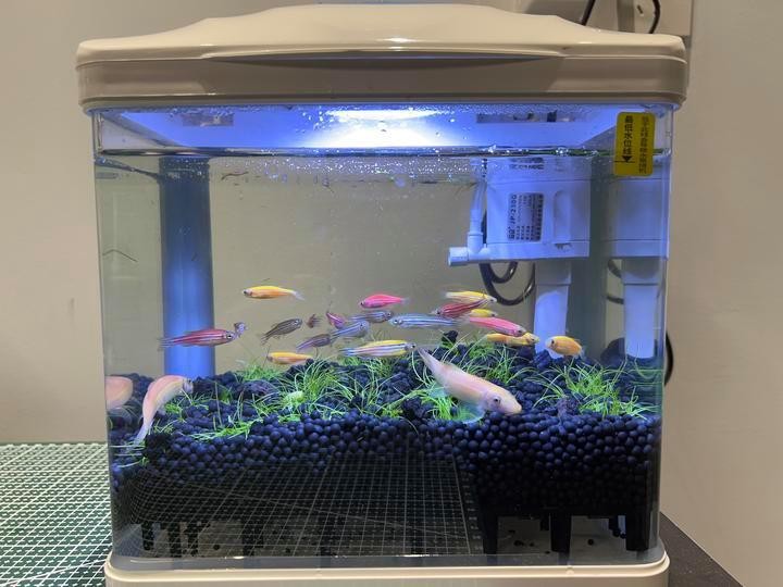 森森魚缸拆卸視頻教程