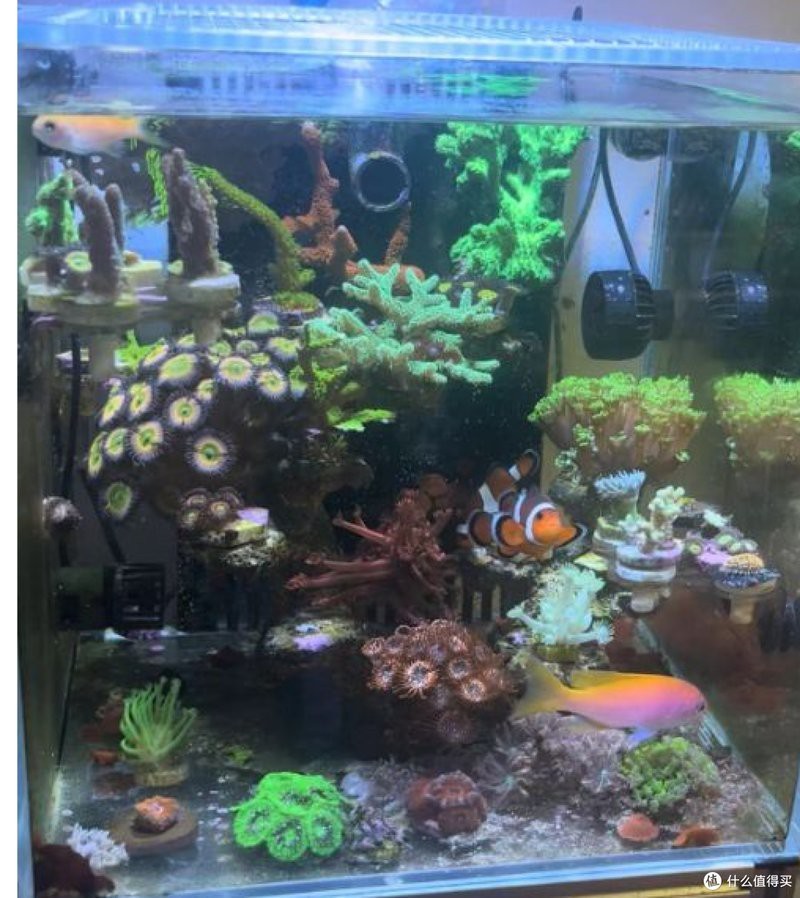 森森魚缸拆卸視頻教程