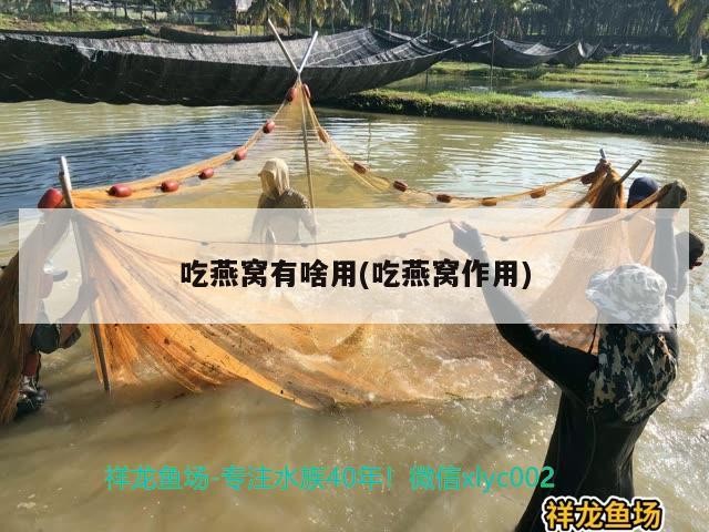 灤平縣灤平鎮諾琦花卉店