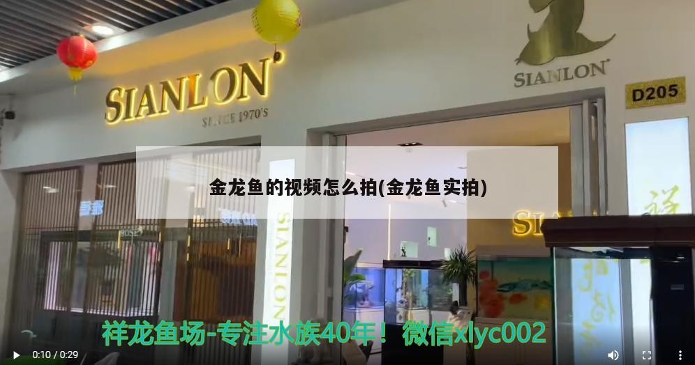 灤平縣灤平鎮諾琦花卉店