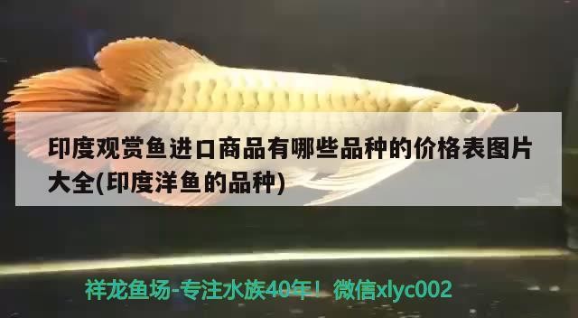 灤平縣灤平鎮諾琦花卉店