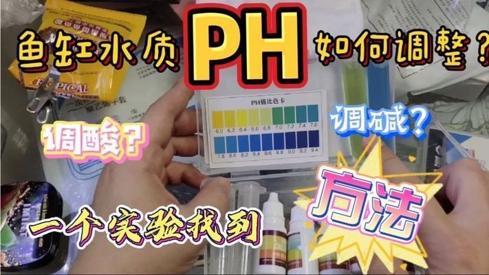 如何控制BD魟魚缸內pH值：bd魟魚適宜的ph值范圍,如何監測魚缸內的ph值