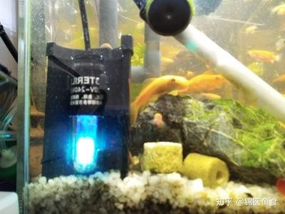 自然生態魚缸清潔誤區在重新養魚之前了解魚缸清潔誤區至關重要:清洗很久沒用的魚缸重新養魚的方法和注意事項 魚缸百科 第1張 自然生態魚缸清潔誤區在重新養魚之前了解魚缸清潔誤區至關重要:清洗很久沒用的魚缸重新養魚的方法和注意事項 自然生態魚缸清潔誤區在重新養魚之前了解魚缸清潔誤區至關重要:清洗很久沒用的魚缸重新養魚的方法和注意事項 魚缸百科 第1張