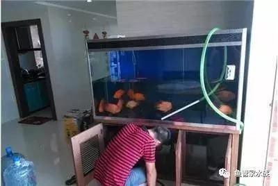 自然生態魚缸清潔誤區在重新養魚之前了解魚缸清潔誤區至關重要：清洗很久沒用的魚缸重新養魚的方法和注意事項 自然生態魚缸清潔誤區在重新養魚之前了解魚缸清潔誤區至關重要：清洗很久沒用的魚缸重新養魚的方法和注意事項 魚缸百科 第2張
