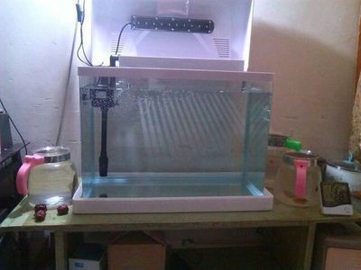 魚缸恒溫系統軟件更新流程：魚缸恒溫系統更新流程