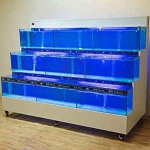 魚缸恒溫系統軟件更新流程：魚缸恒溫系統更新流程