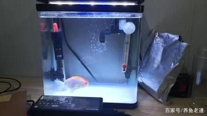 如何選擇合適的魚缸溫度計：選擇合適的魚缸溫度計是確保水族箱健康的關鍵步驟之一