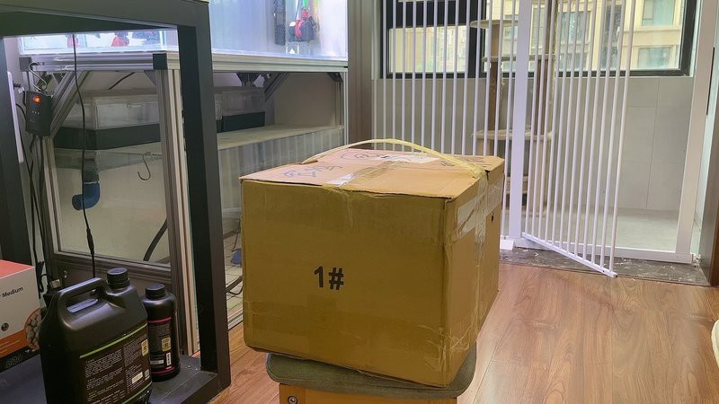 四紋虎魚的圖片大全