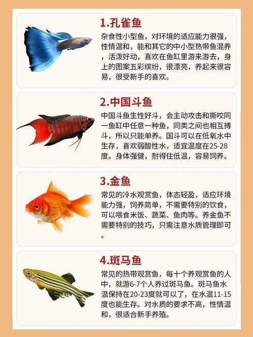 金魚混養最佳搭配圖