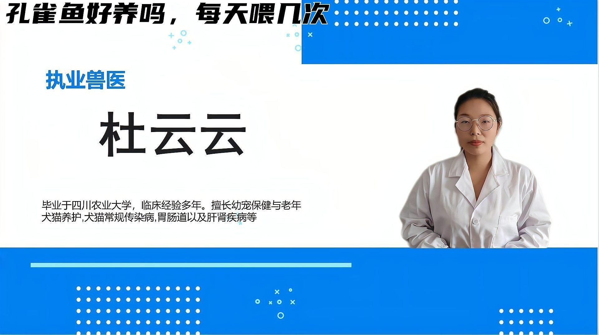 花老虎孔雀魚好養(yǎng)嗎