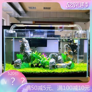 都有什么龍魚（常見的龍魚品種及其特點）